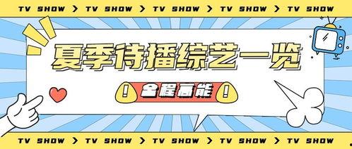 娱乐吃瓜四字,吃瓜群众四字解读
