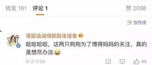 娱乐吃瓜称呼,揭秘“吃瓜群众”背后的故事