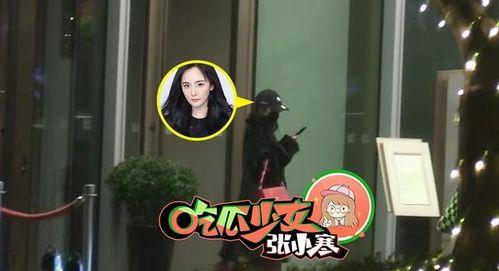 吃瓜少女张小寒娱乐圈,吃瓜少女的娱乐圈探秘之旅