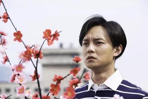 娱乐吃瓜君尹正,娱乐吃瓜界的“瓜王”