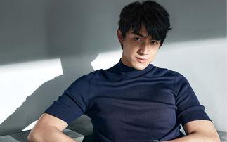 娱乐吃瓜酱林更新,娱乐圈的“吃瓜达人”