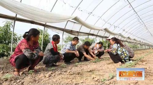 娱乐吃瓜封面如何做的好看,打造吸睛视觉盛宴的五大秘籍