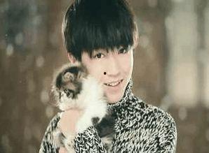 娱乐吃瓜蒋依依吴磊视频,娱乐吃瓜现场曝光