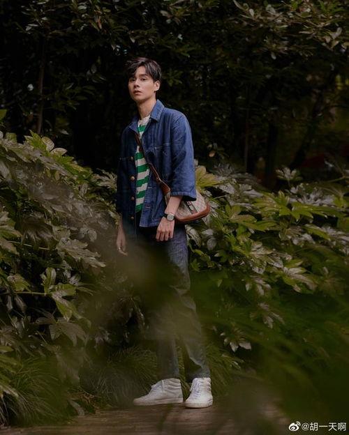 吃瓜娱乐胡一天,吃瓜娱乐背后的明星魅力