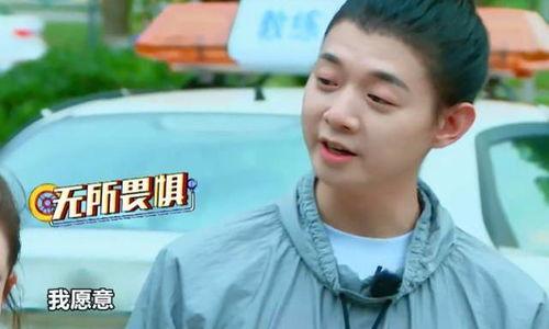 娱乐吃瓜王大锤,揭秘娱乐圈幕后风云