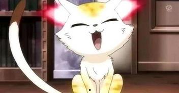 娱乐吃瓜酱长矛老师