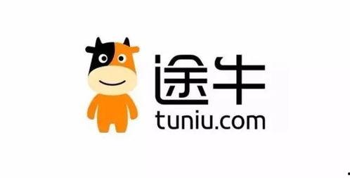 娱乐吃瓜仔er,吃瓜仔er带你探秘明星幕后故事
