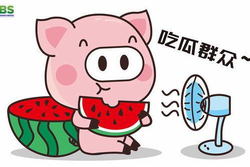 娱乐吃瓜酱英语怎么写,From 'Entertainment Gossips' to English: A Summary of the Buzz