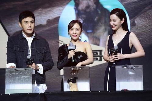 娱乐圈吃瓜爆料一更到底